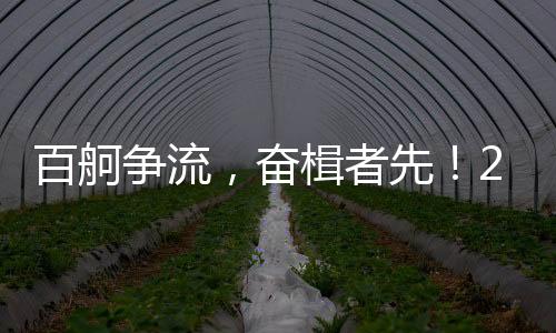 百舸争流，奋楫者先！2025年中国