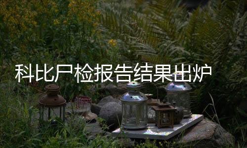 科比尸检报告结果出炉 科比布莱恩特数据资料介绍