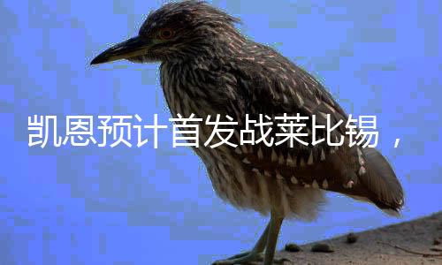 凯恩预计首发战莱比锡,特尔、戴维斯也参加训练