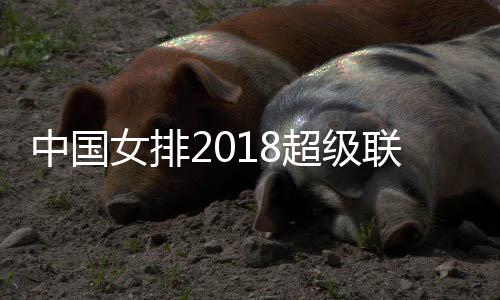 中国女排2018超级联赛恒大女排进八强 巴德捷耶娃得23分