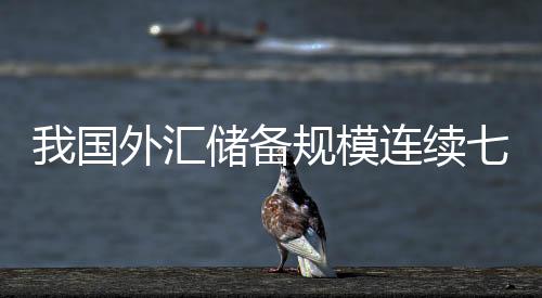 我国外汇储备规模连续七个月回升   规模为30915亿美元