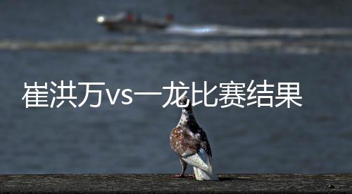 崔洪万vs一龙比赛结果谁赢了 一龙踢中崔洪万裆部取胜