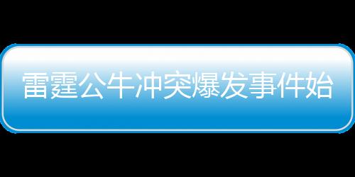 雷霆公牛冲突爆发事件始末 比赛进行到第三节都冲动了