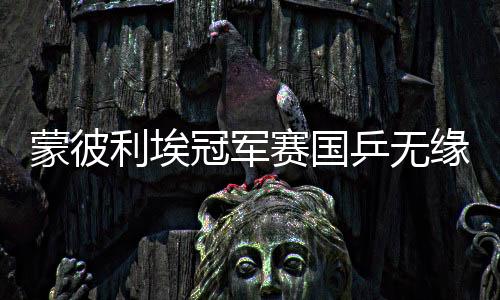 蒙彼利埃冠军赛国乒无缘决赛 张本兄妹均获亚军